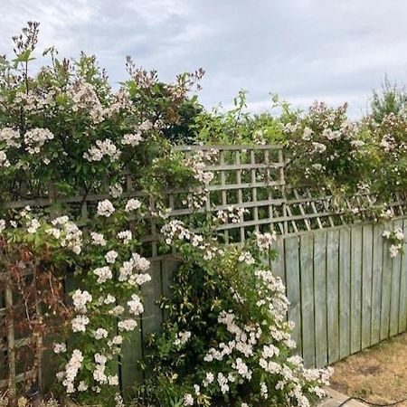 Seaview Bungalow 혼지 외부 사진